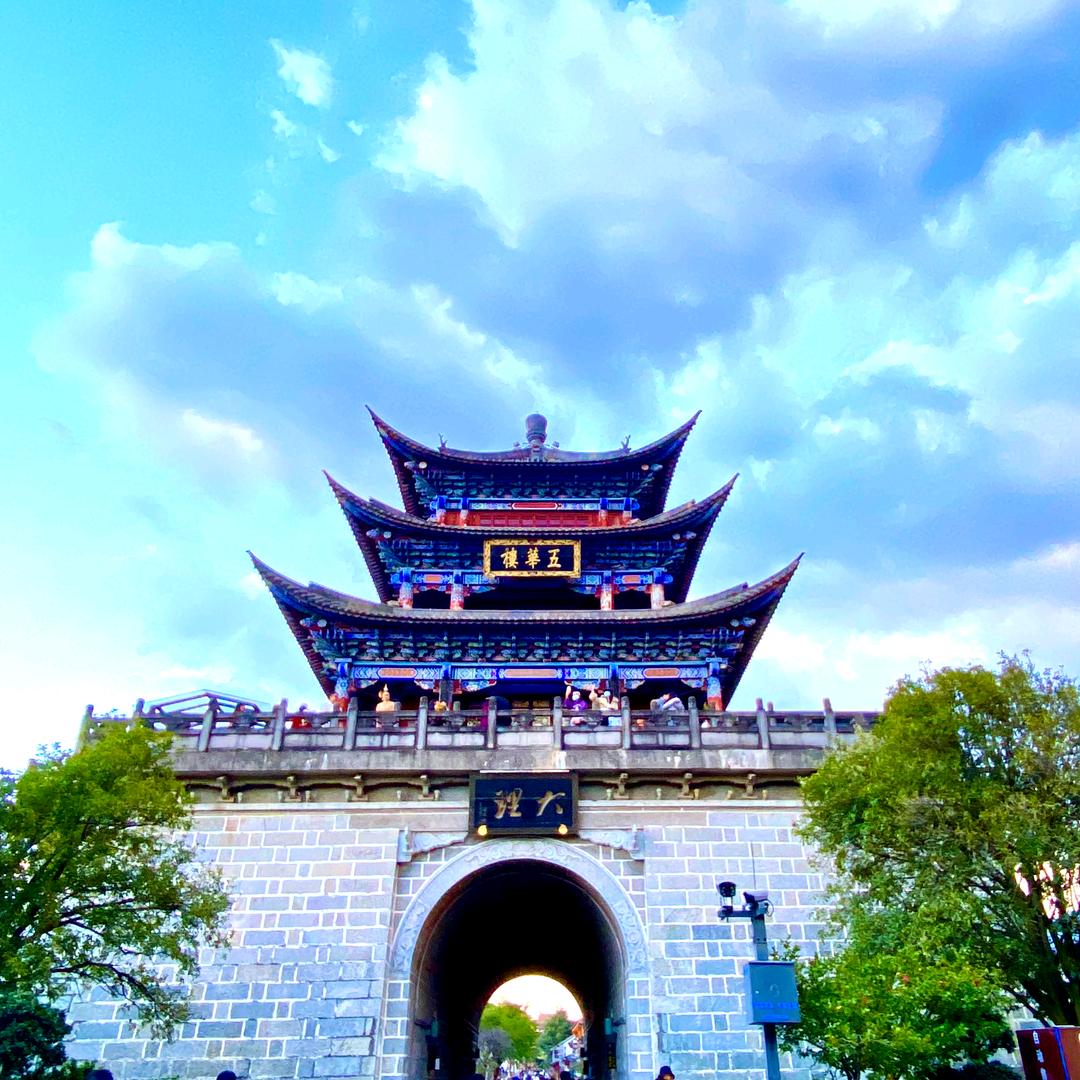 给汤圆一个家