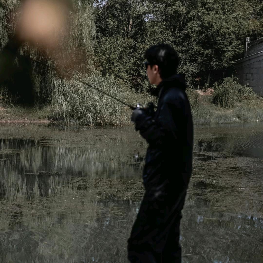 可爱青蛙🐸