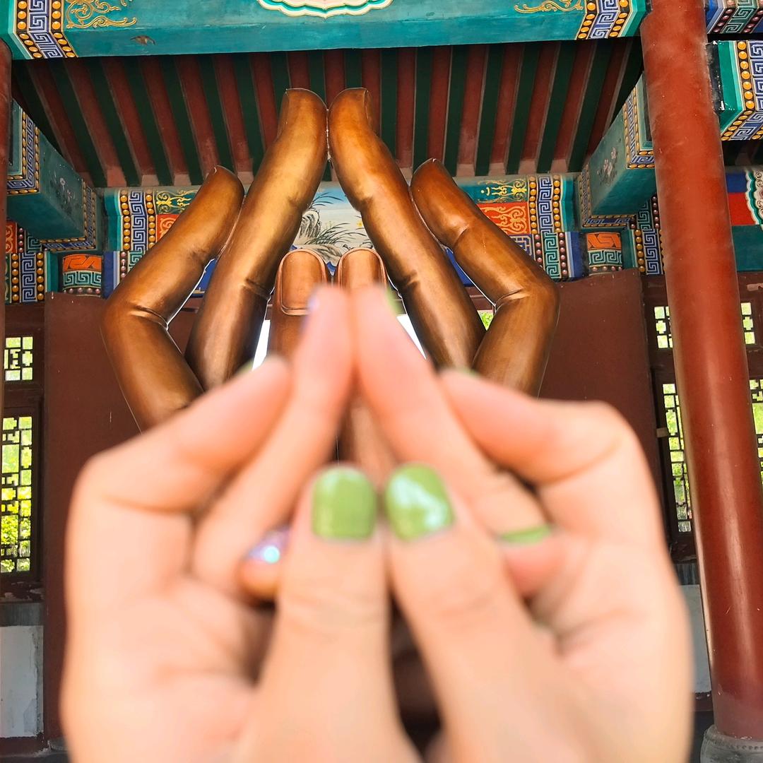 绿雪莲（东营中都马业）