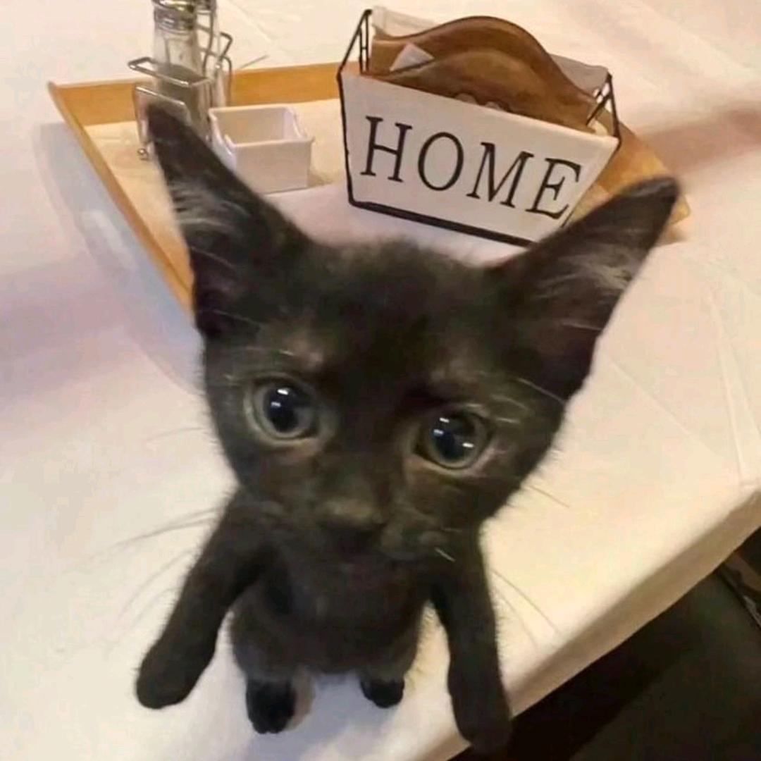 极品究极无敌少萝