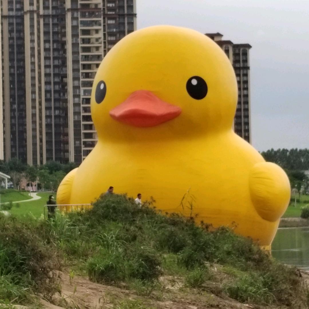 🌸心灵手巧🌸
