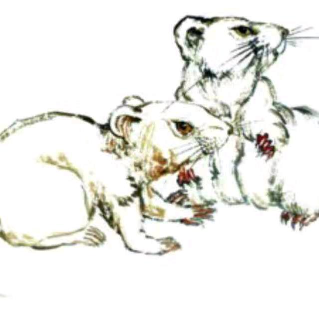 老马~𝑭𝒆𝒆𝒍𝒊𝒏𝒈𝒔