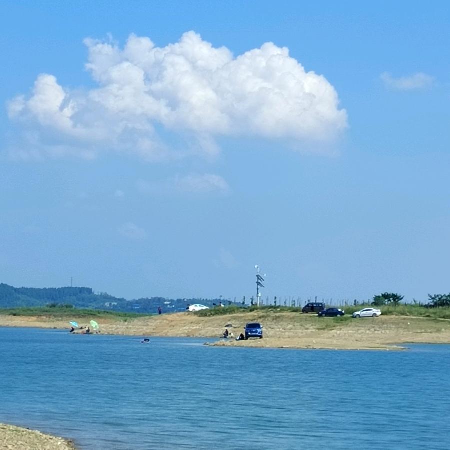 大师兄