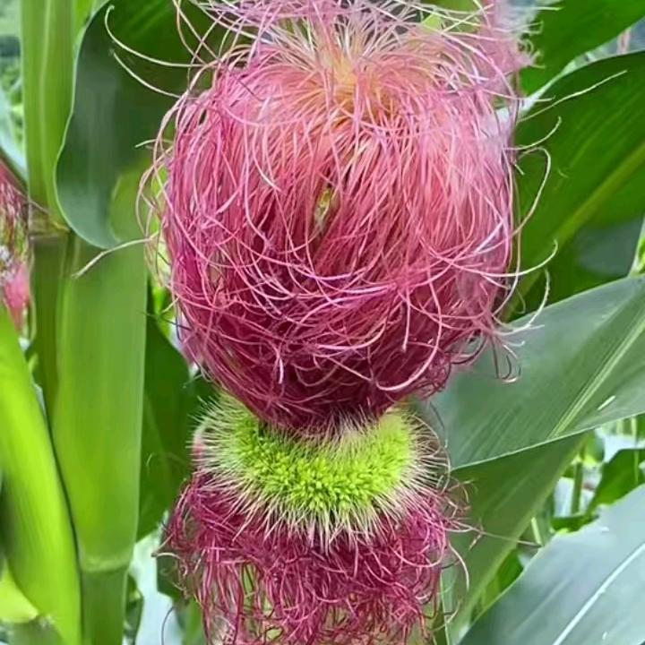 一生有你