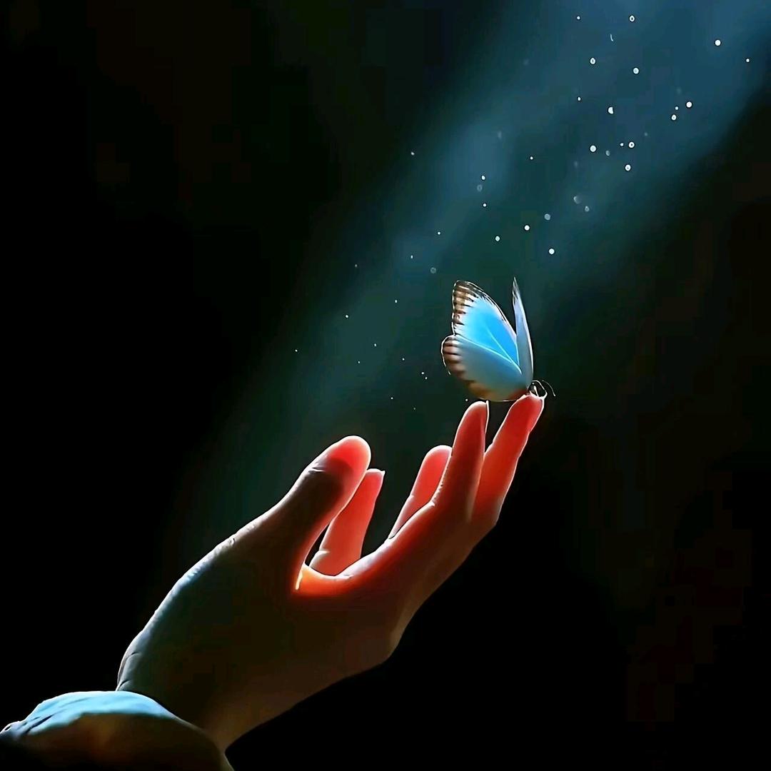 浅诺