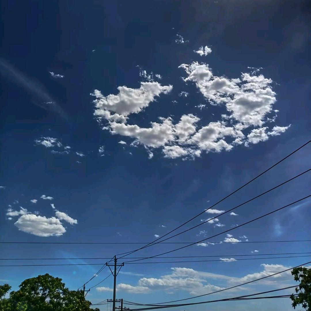 唐僧骑的猴。。。