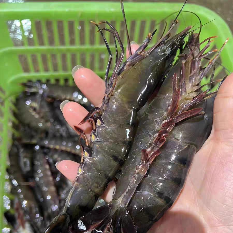 小孙海鲜