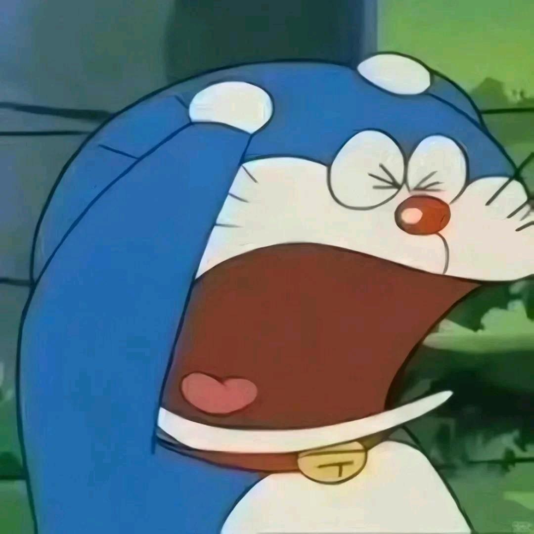 以翅膀为尺，丈量天空