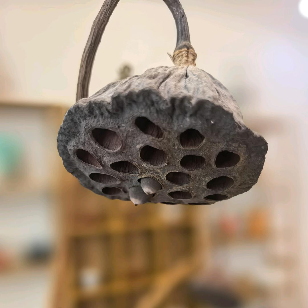 娱心堂书法篆刻