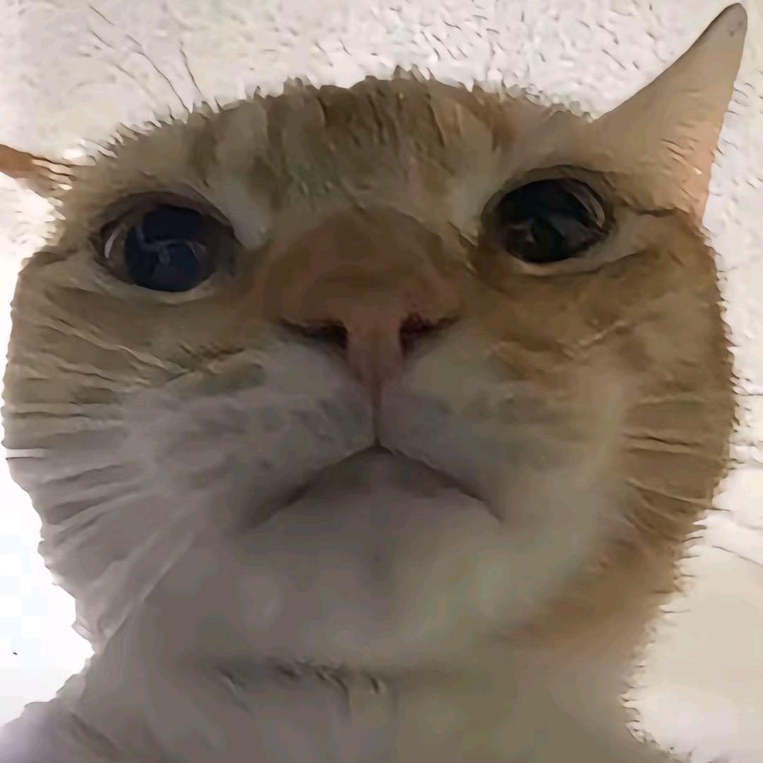 橙