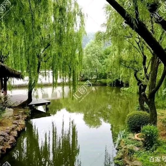 俺是农村人四哥