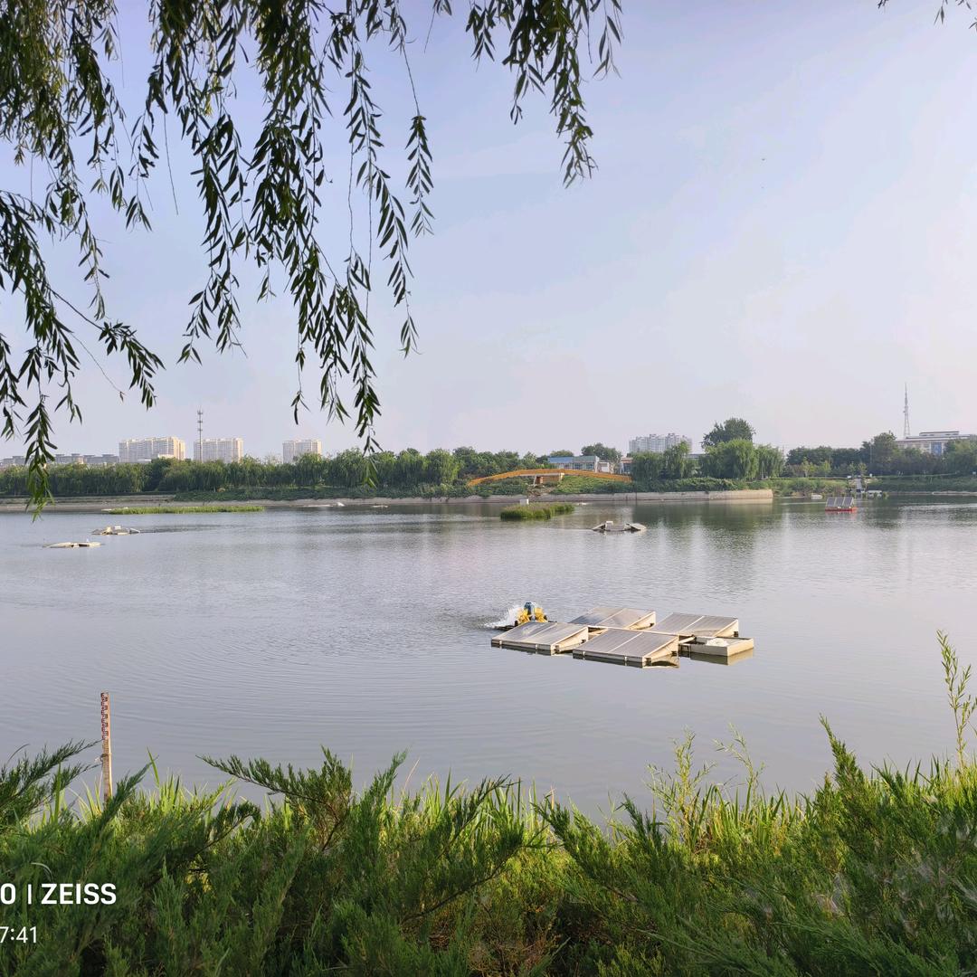 快乐的老男孩姓魏