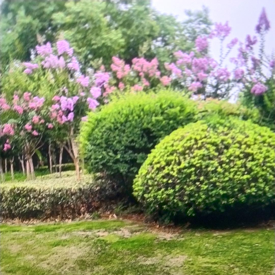 缘来如此