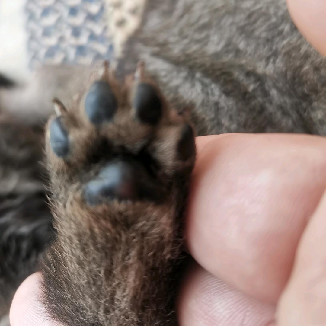 ── 展开326条回复 ⌵