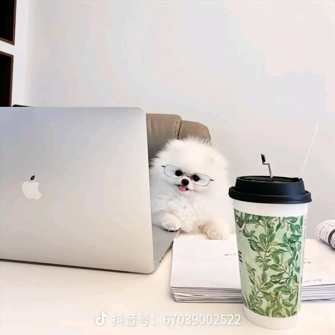 博锦爱炫
