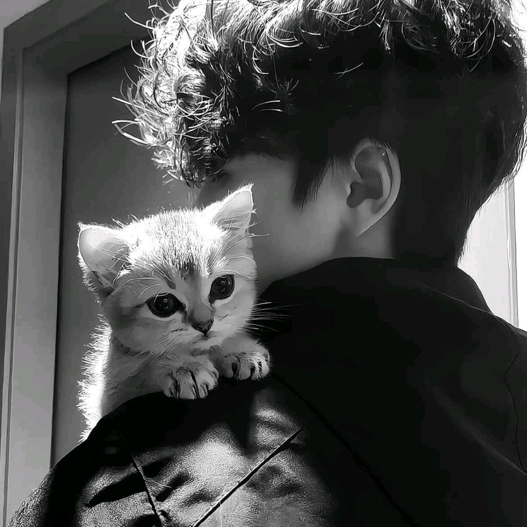 🕊️: ღ温酒醉人 ོ࿐
