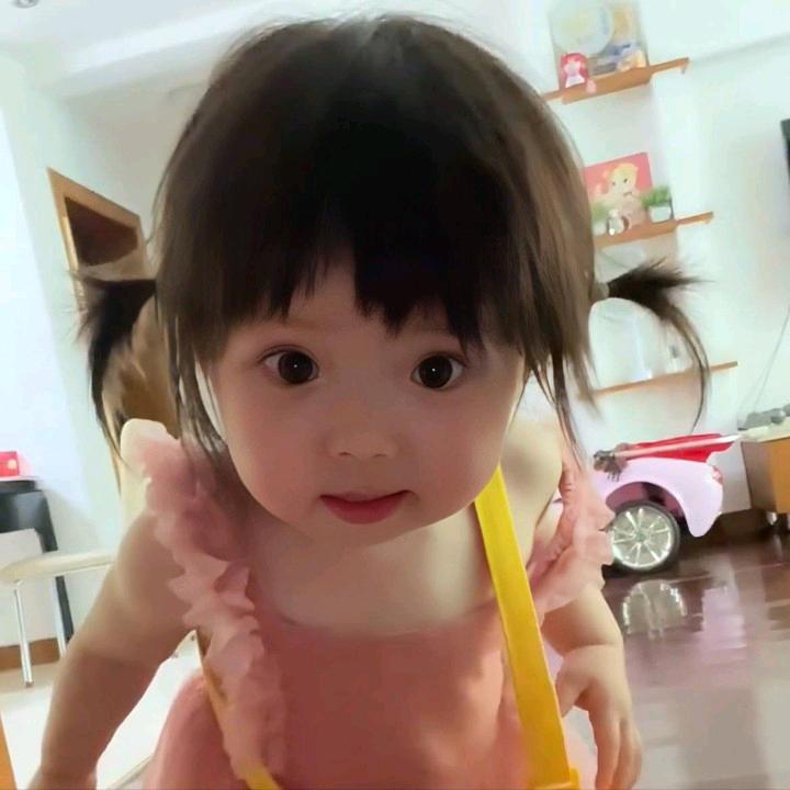 粘人豆包