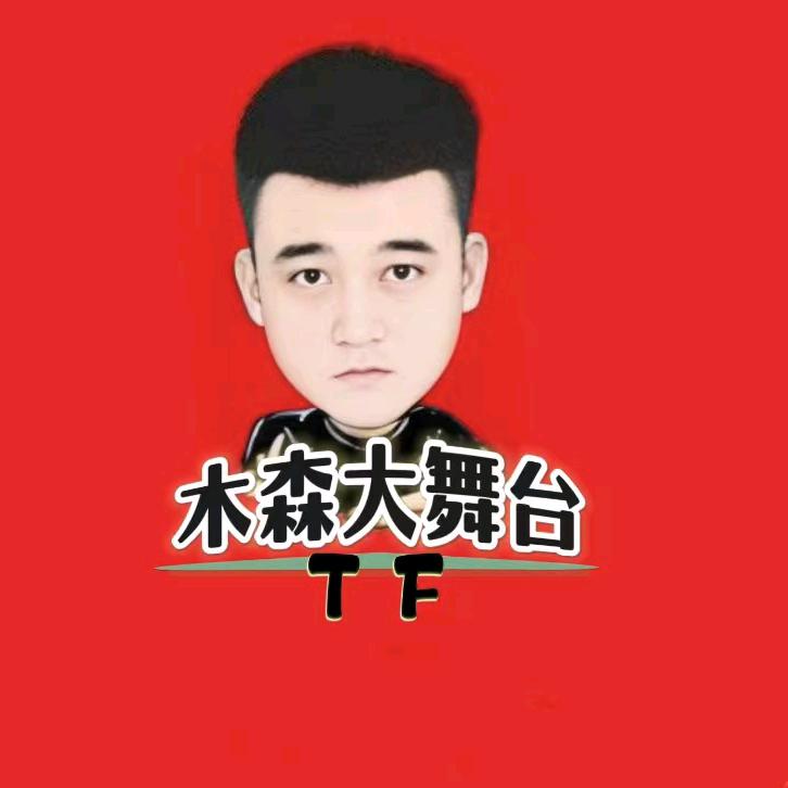 木森大舞台-TF