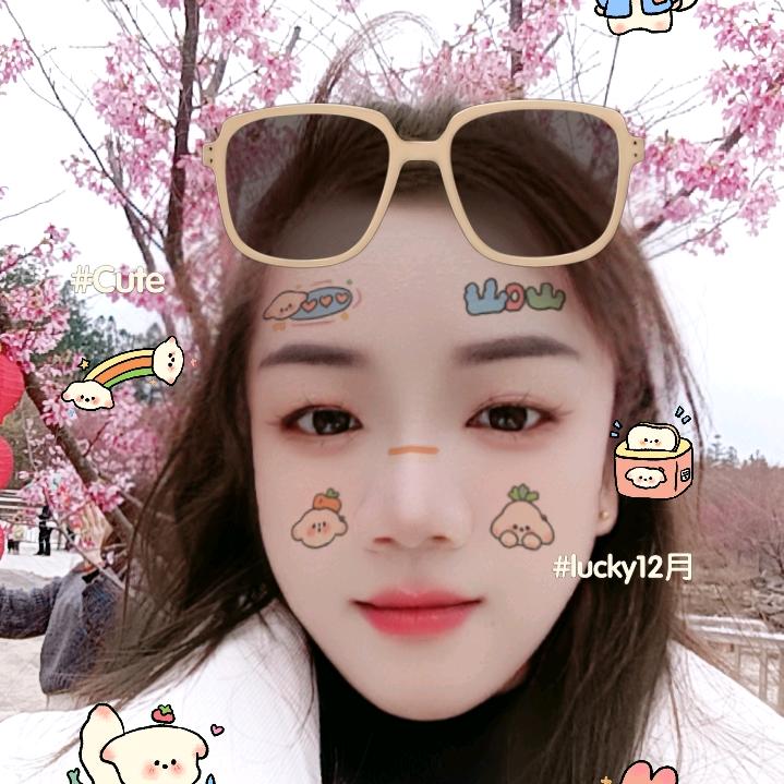 独  (●—●)  行