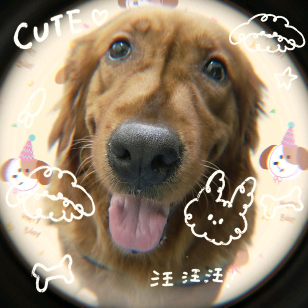 多多🐶多多🐶
