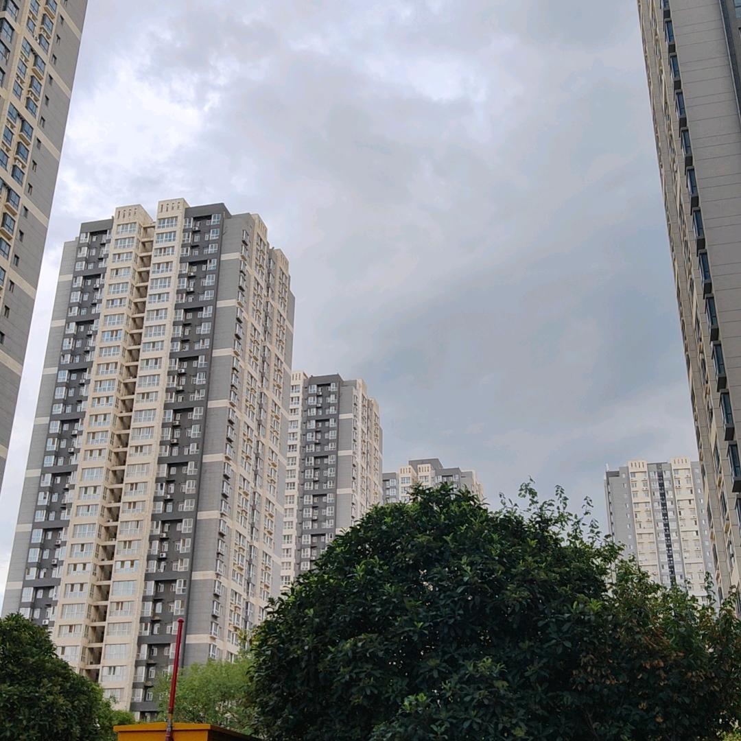 南栀吖