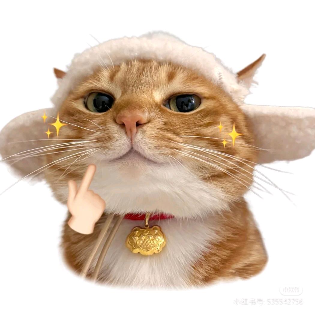 一个剪猫meme的猫