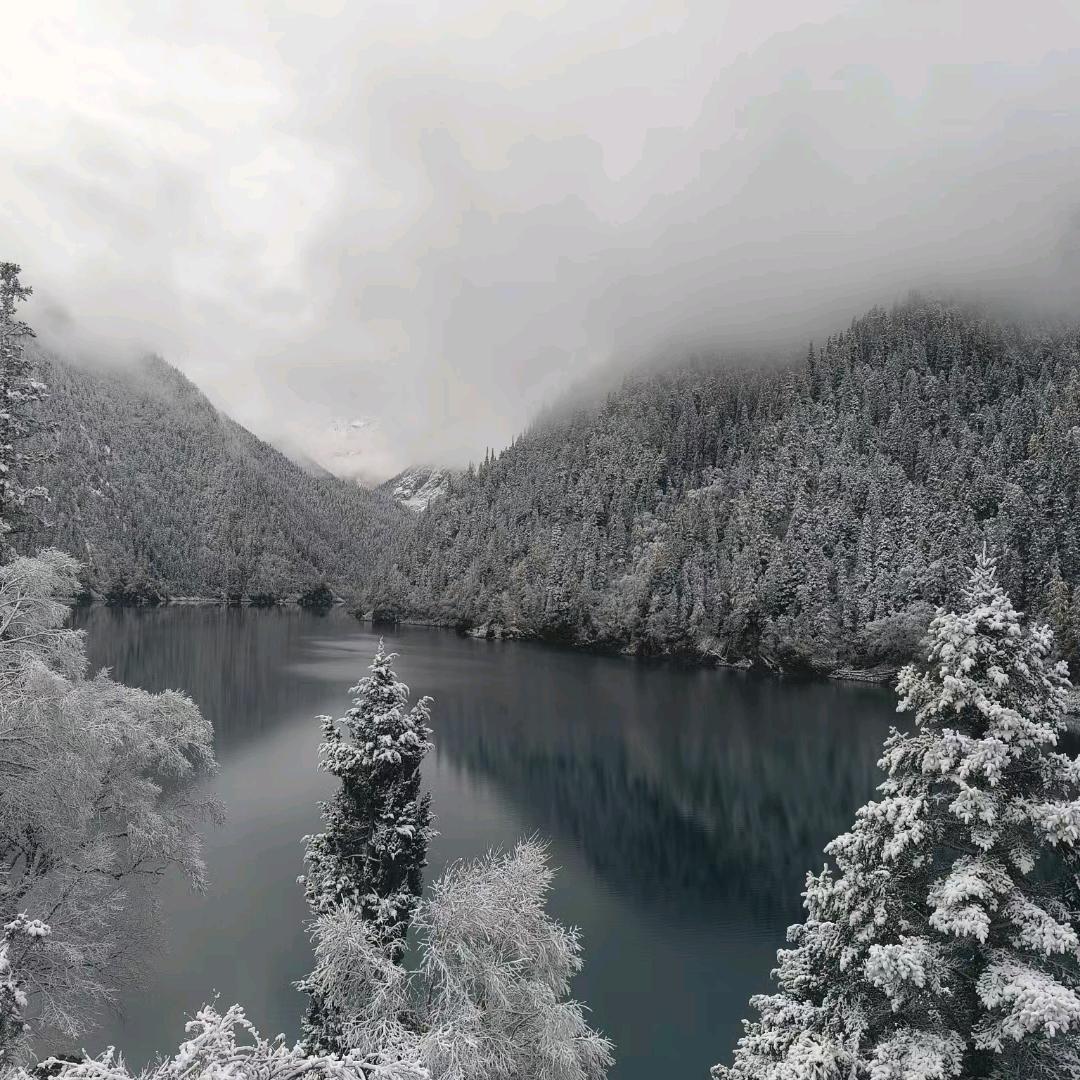 景✌