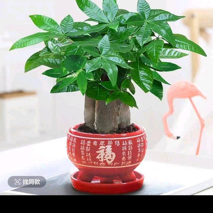 顺顺利利，健健康康