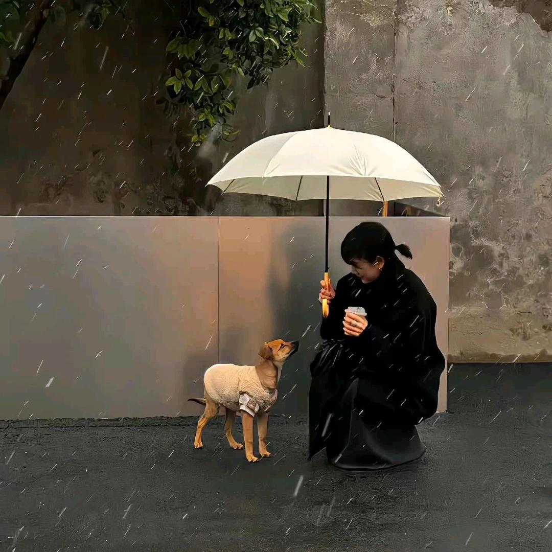 脸¹点也不圆📸