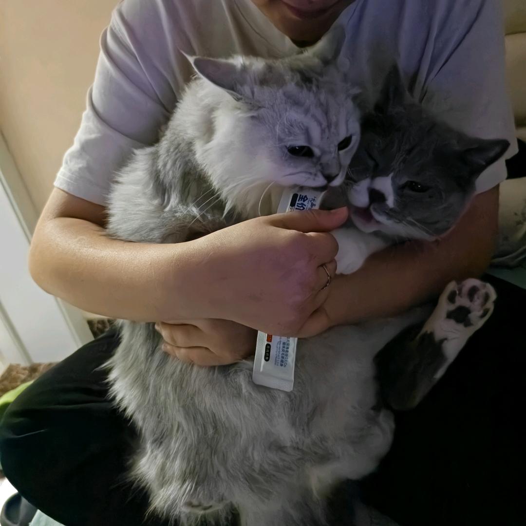 乔摸瘦下来