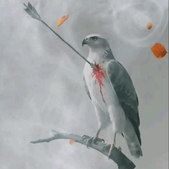 简单爱