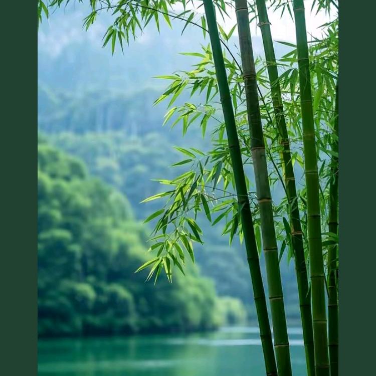 一家亲一家亲