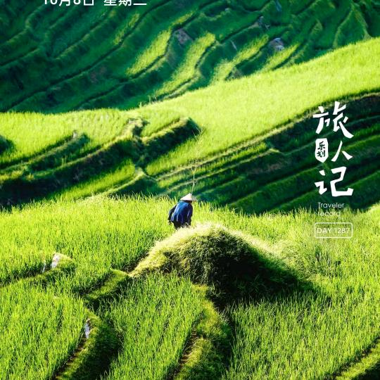 松鼠鱼