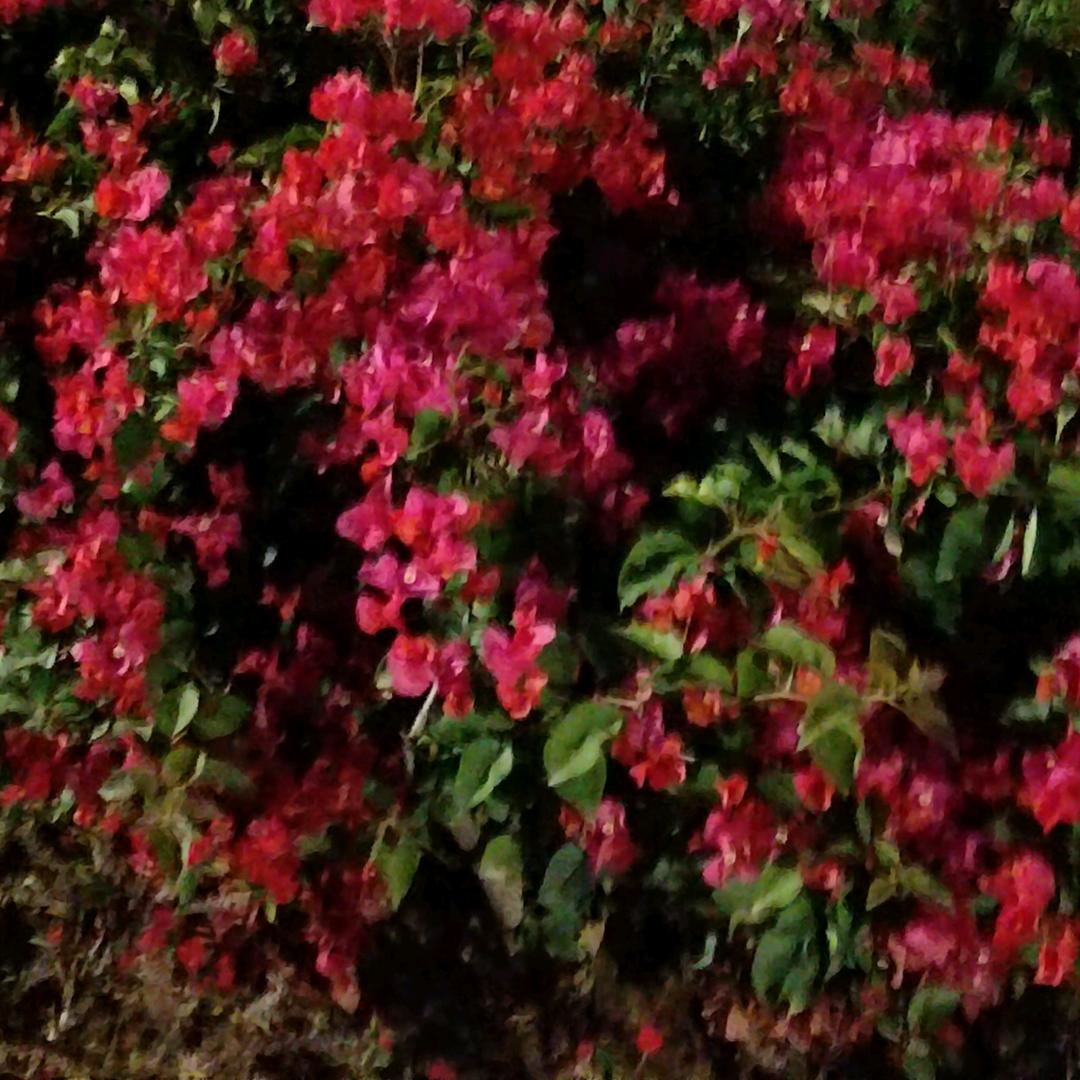 刘🐉开心🌹🌹