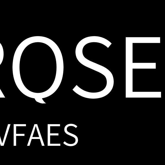 ARQSEVFAES艾诺丝轻奢女装