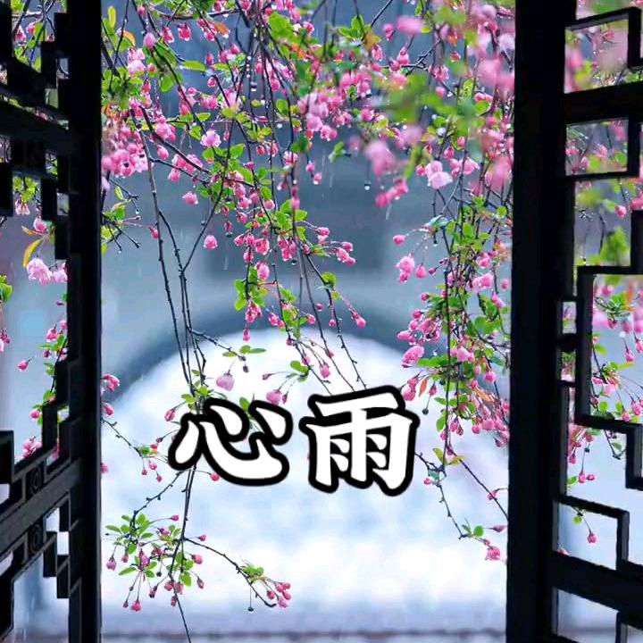 心雨