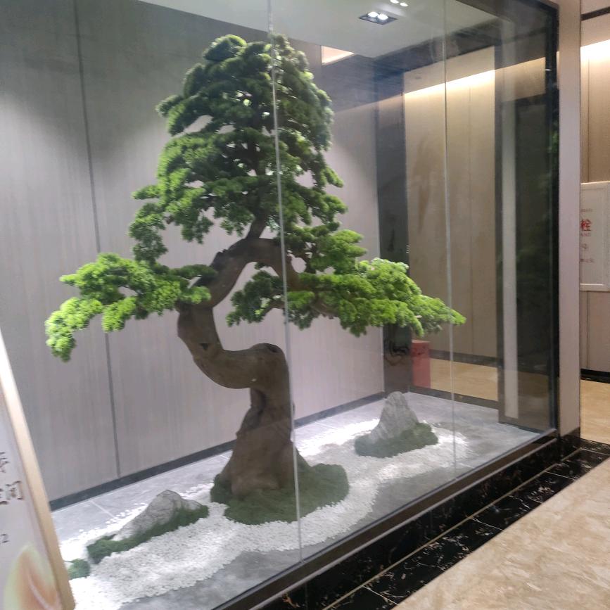小辉辉