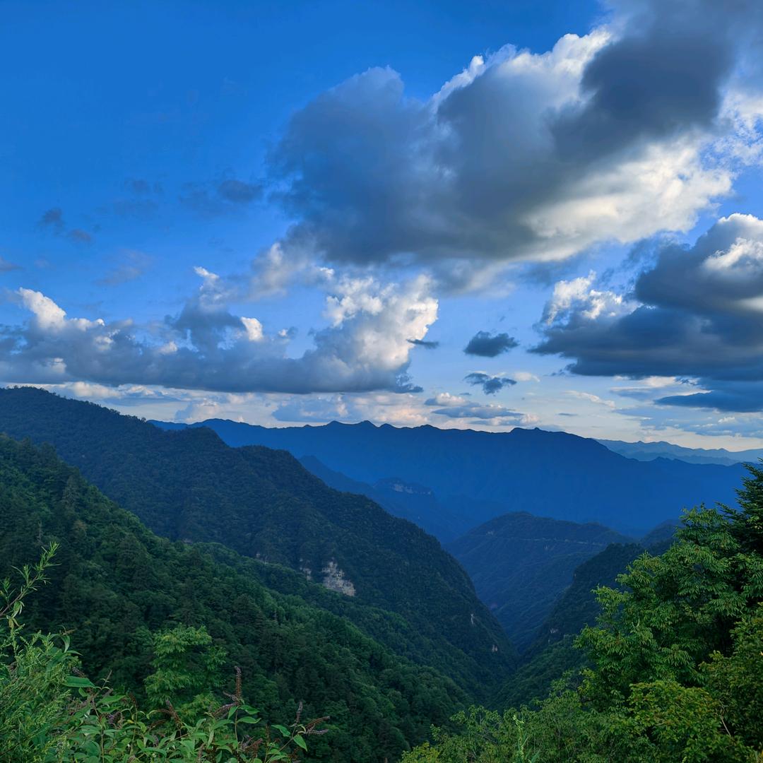 小土豆