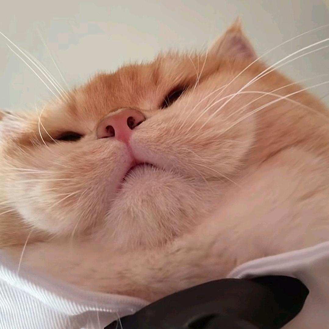 加辣麦旋风