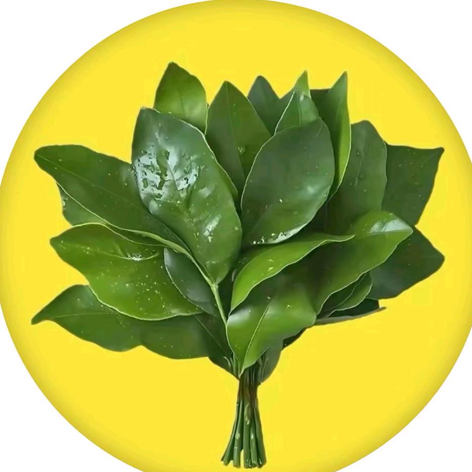 仙人掌