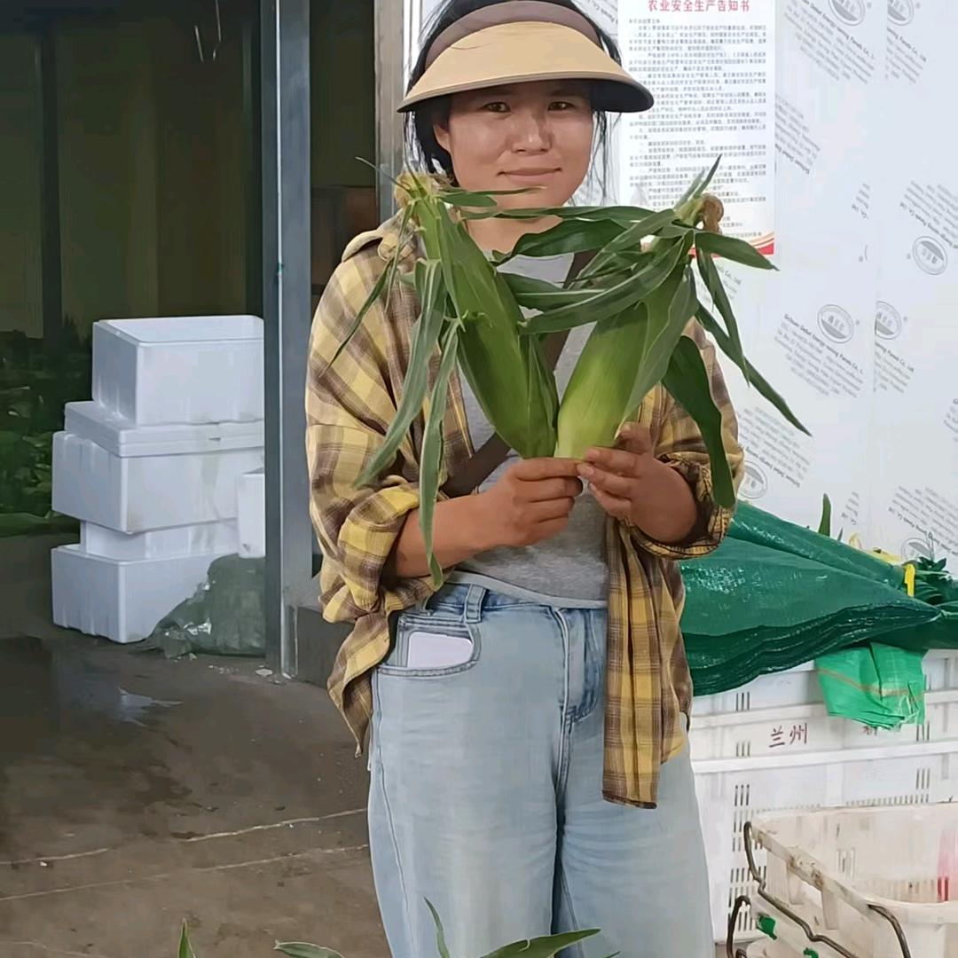 小郭蔬菜   ♥
