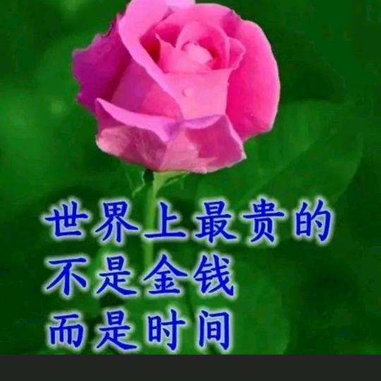 🎤顺其自然🌹