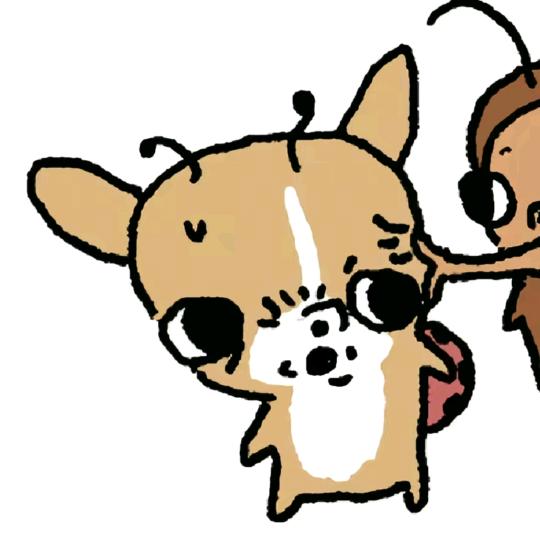 阿鲶鲶鲶.(求推荐喵)