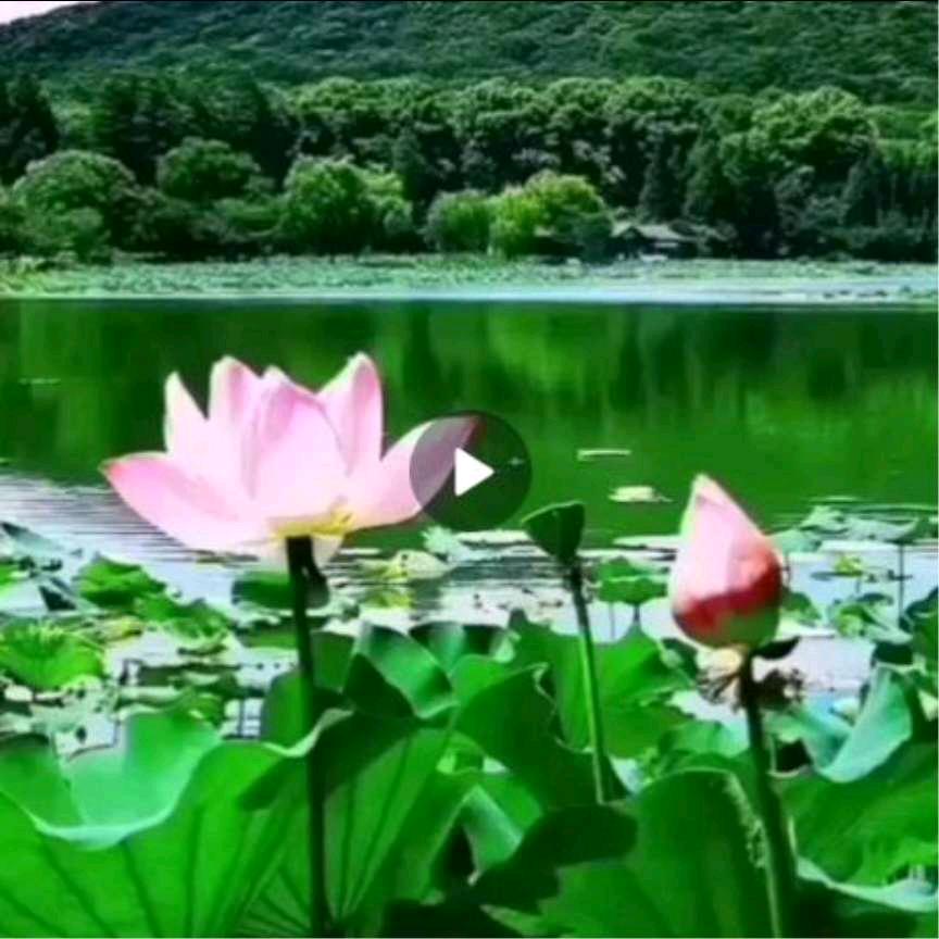 万里挑一