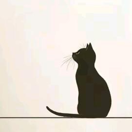 人不咋地纯喜欢女的