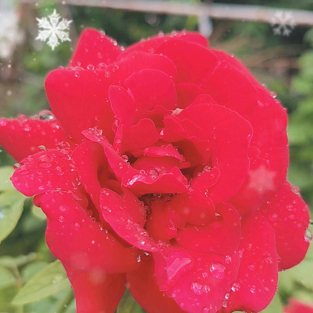往后余生好好爱自己78年马🐴