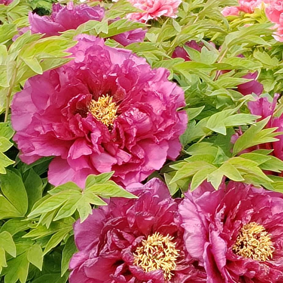 拒绝私聊