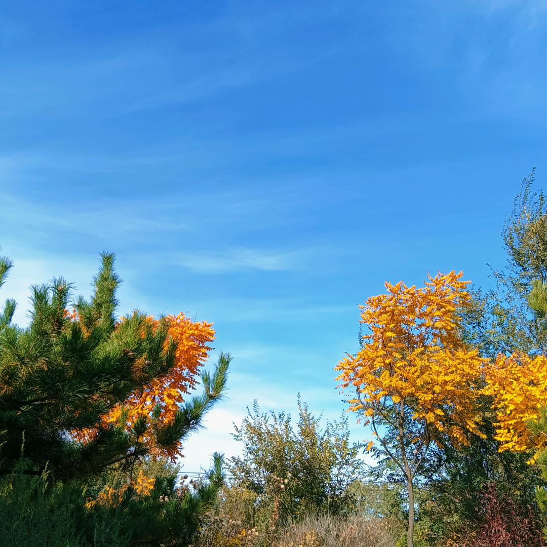 🦋ℒᎭℯ⃝傻💞丫头࿐