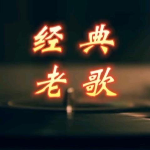 臻选车载音乐（🉑定制）