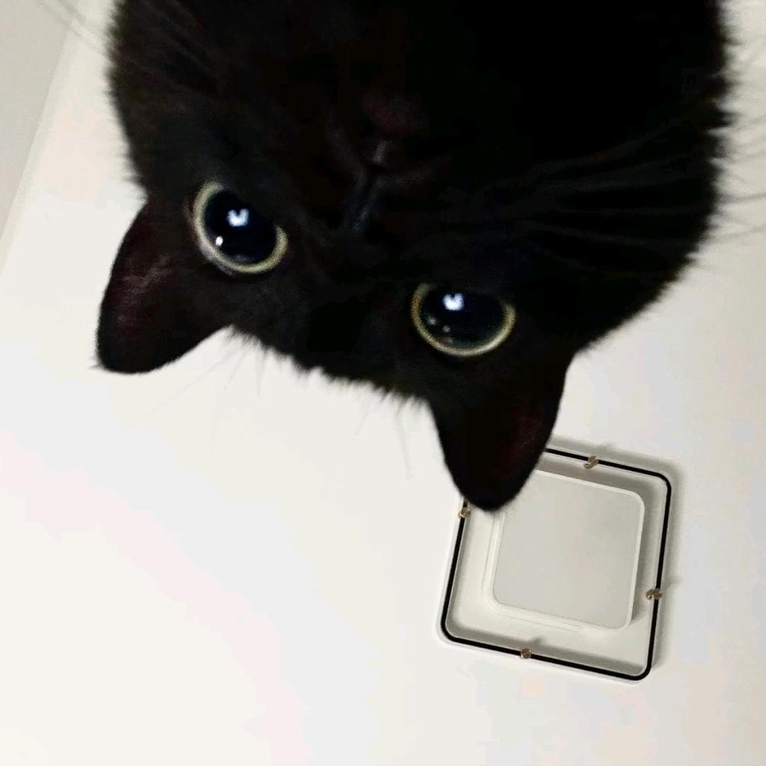 ✨ ʘʚʘ✨